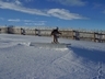 Bildname: 6952010-12-16Ski- Snowboardlehrer: Reini